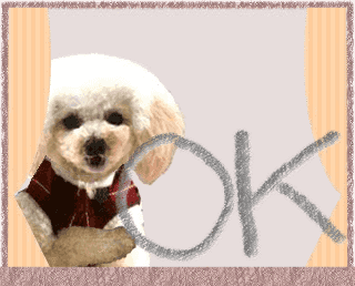 ラインスタンプ無料ダウンロード実施中