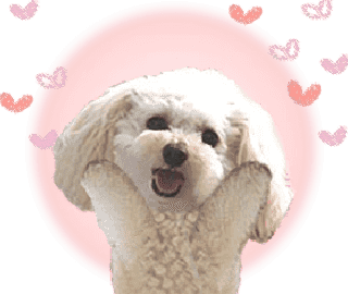 ラインスタンプ無料ダウンロード実施中