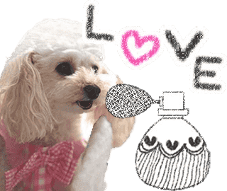 ラインスタンプ無料ダウンロード実施中